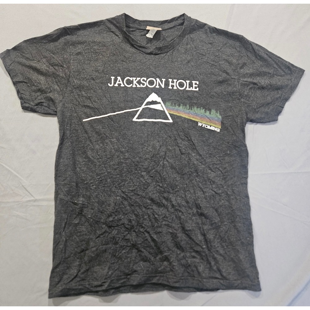 Next Level Jackson Hole Wyoming T-Shirt Mens M Gray Pink Floyd Parody